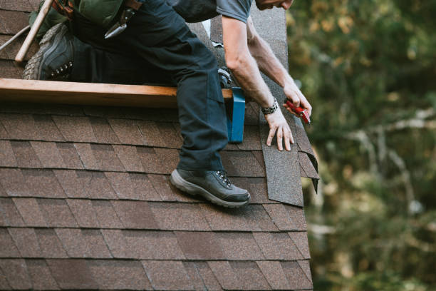 Best Roofing Contractor Near Me  in Lake Elsinore, CA